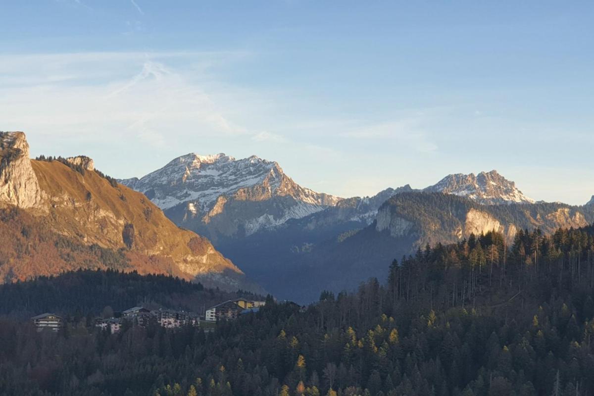 Le Chalet De Poche - Gite 2 Etoiles - 5 Pers Habère-Poche エクステリア 写真